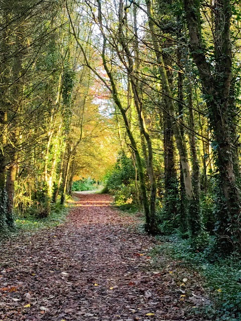 Ballyhoura Mountain Lodges