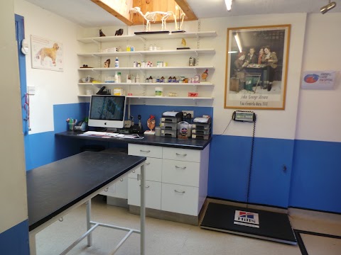 Animal Care Veterinary Hospital