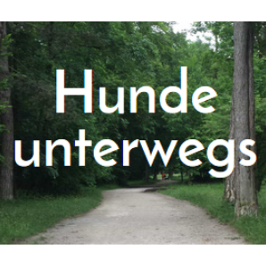 hunde-unterwegs.de Hundeerlebnislauf Gassiservice