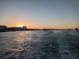 Serodiel. Excursiones en barco