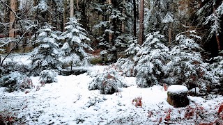 Combrailles Auvergne Tourisme - bureau de St Gervais d'Auvergne