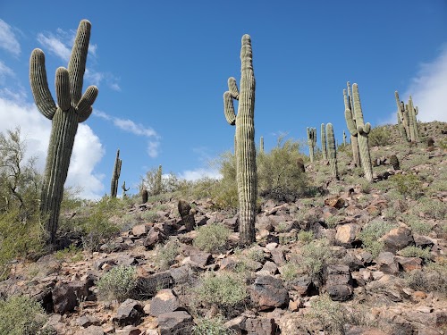 Peoria Calderwood Butte Preserve