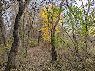 Cobus Creek County Park