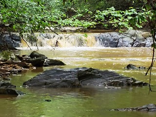 Tailwater Yadkin River Access