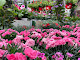 Photo de Jardinerie Baratet - Route de bordeaux, Fauillet, France
