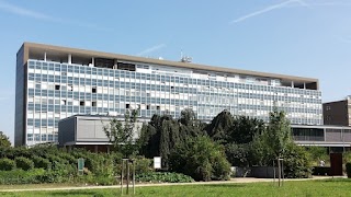 Institut für Physik der Atmosphäre Johannes Gutenberg-Universität