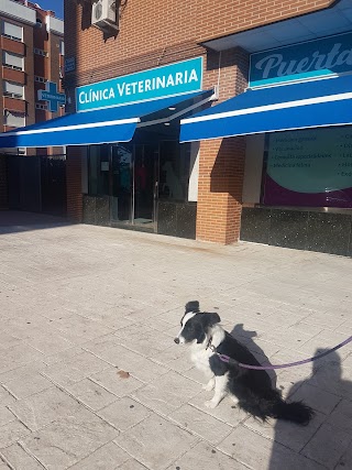 ▶️ Clínica Veterinaria Puerta del Sur | Veterinaria en Móstoles