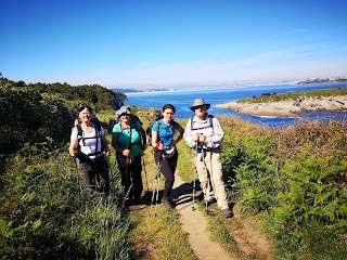 Caminos de Santiago de lujo PILGRINO