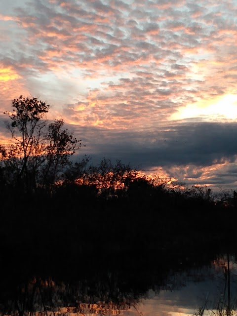 Photo of South Immokalee Park - 418 School Drive, Immokalee, FL 34142, USA