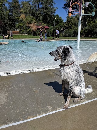 City of Longmont Roosevelt Activity Pool