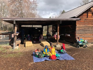 Little Gnomes Nature School