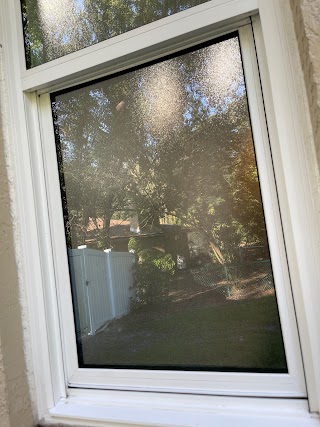 Smear Clear Window Cleaning