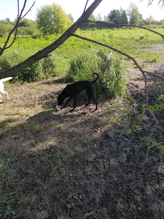 Walnut Creek Campground