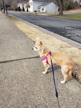 Burke Centre Pet Sitting