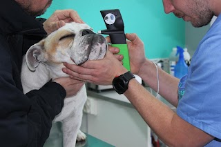 Clínica Veterinaria La Salvé, Laredo.