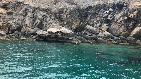 Catamarán Mundo Marino Jávea | Excursiones en barco Jávea