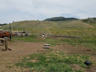 Grandpa's Cabin