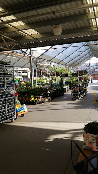 Garden Center at The Home Depot