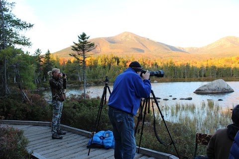 Moose Woods Guide Service