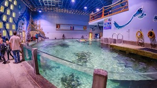 Houston Interactive Aquarium & Animal Preserve