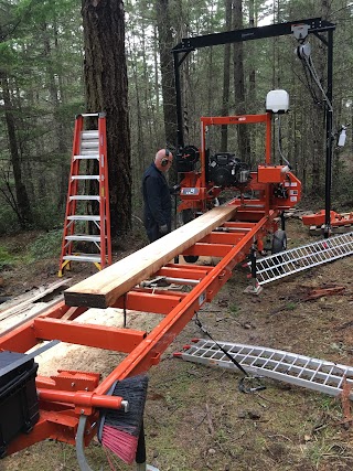 Decatur Island Handyman & Sawyer