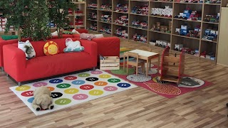 Kinderschuhu Harald Thölke - Kinderschuhe für Kids & Teens