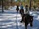 Photo of Hoof Prints Trail Riding Center - 5367 Sixty Foot Road, Parsonsburg, MD 21849, USA