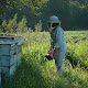 Photo of It's All About Bees - 8540 Park Drive, Omaha, NE 68127, USA