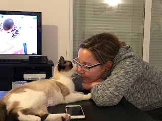 O’Coussinets | Garde d’Animaux à domicile | Pet-Sitter | à Courhezon | Vaucluse