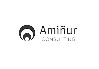Amiñur Consulting