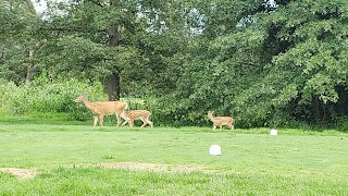 Brambleton Regional Park and Golf Course