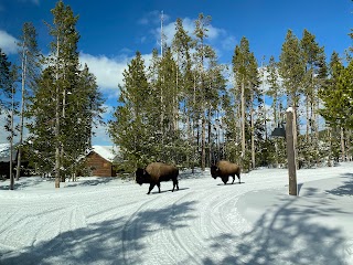 Wildlife Expeditions of Teton Science Schools