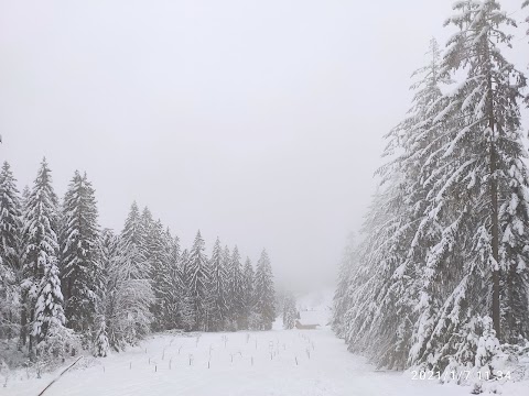 Sport-Kern Seebach Wintersportgeschäft