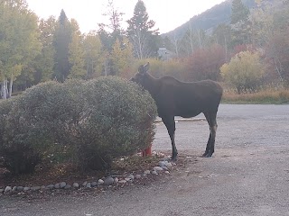 Jackson Hole Racquet Club