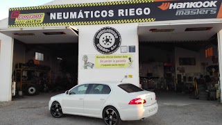 Neumaticos Riego S.L.