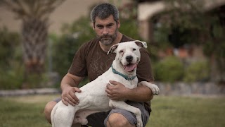 Hotel de Mascotas - La Casa Del Abuelo - Residencia Canina