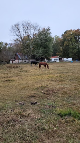 Pine Meadow Veterinary Hospital