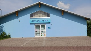 Aquarium Rio Wertheim C.Pfautsch