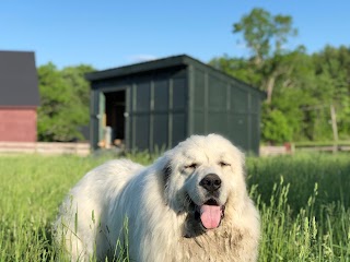 Shadowbrook Farm Store