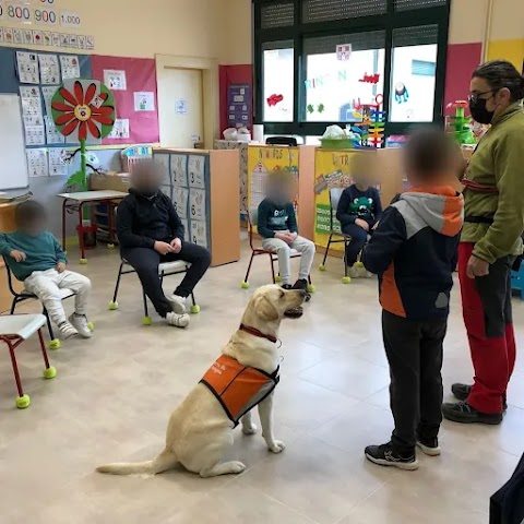 Mi Perro Sabe - Educación Canina