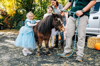 My Mini Pony Party & Pets