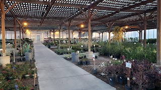 Star Nursery Garden and Rock Centers