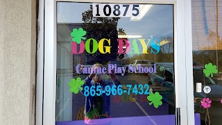 Dog Days Canine Playschool