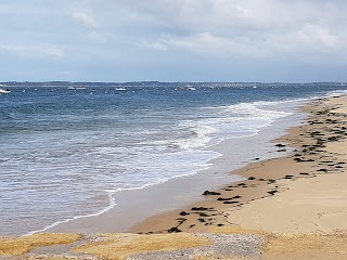 Cercle de la Voile du Pyla-sur-Mer