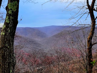 McCune Trailhead Parking