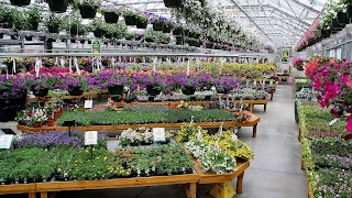 Sam Bridge Nursery & Greenhouses