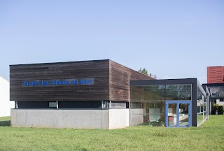 Université de Poitiers, STAPS-SUAPS, Faculté des Sciences du Sport