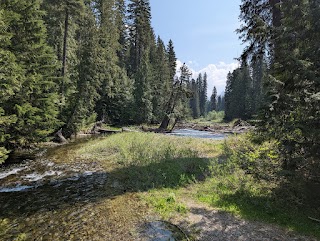 Ross Creek Cedars Scenic Area