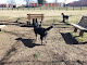 Photo of Patrick Brannon Memorial Dog Park - 1001 Wes Lee Drive, Paris, KY 40361, USA