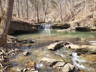 Nine Penny Branch State Nature Preserve